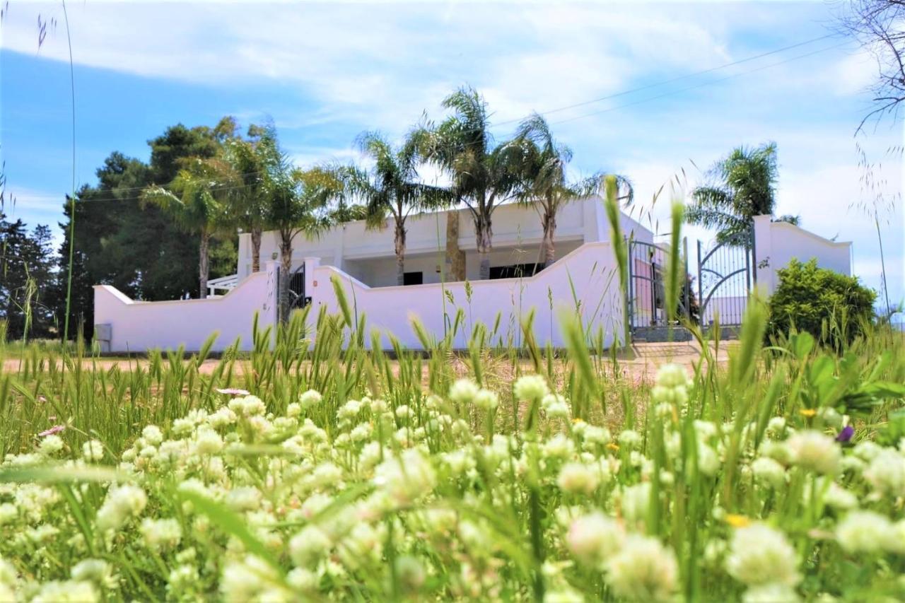 Da Casa Tiziana Hotel Porto Cesareo Bagian luar foto